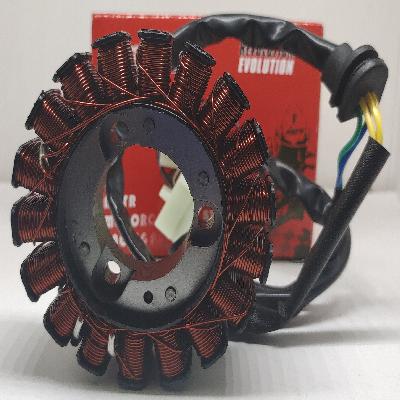 Stator Coil 