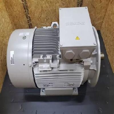 Electric Motor (Seimens)
