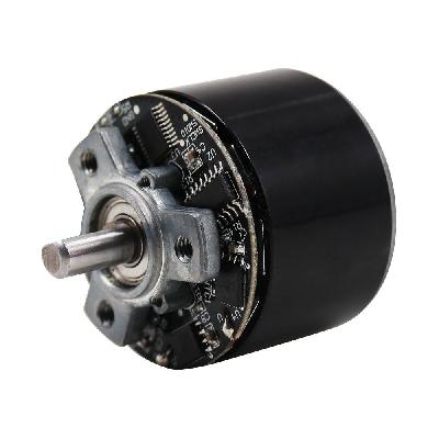 38mm Rotor Motor
