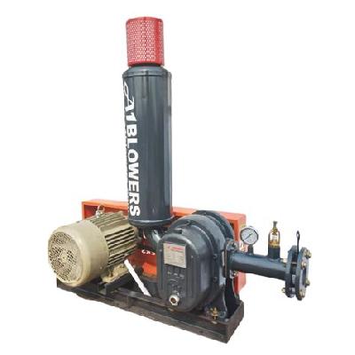 Twin Lobe Blowers