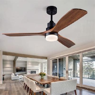Ceiling Fans