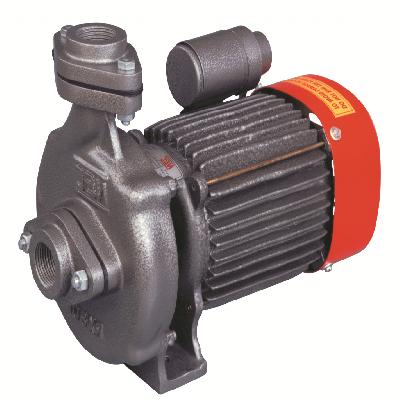 Domestic Monoblock Pumps- STAR