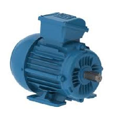 Crompton Hazardous Area LV Motor
