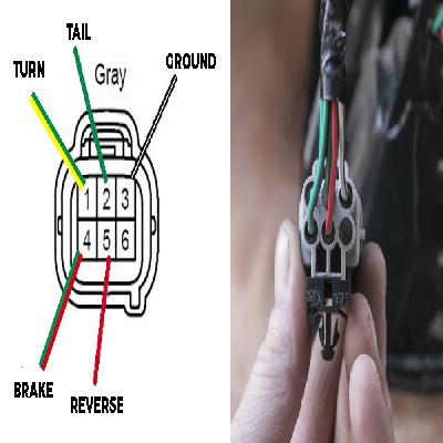 Tail Light Wire Assembly