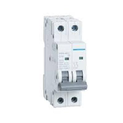 40 A  Double Pole MCB