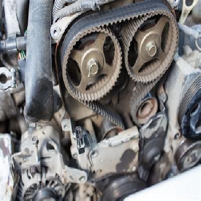 Timing Belt