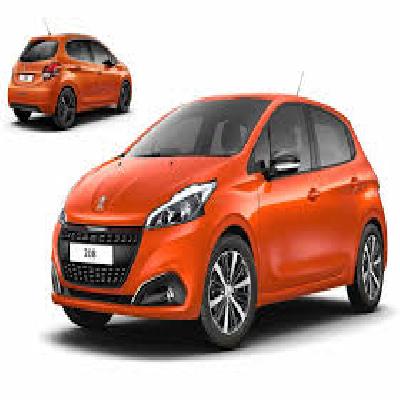 Bai-113 IGN Peugeot Di (4-point)
