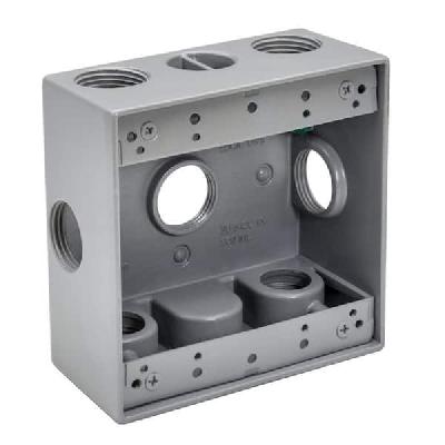 Gang Box 5 Poll