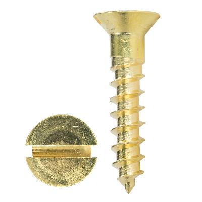 Brass Slotted Screw