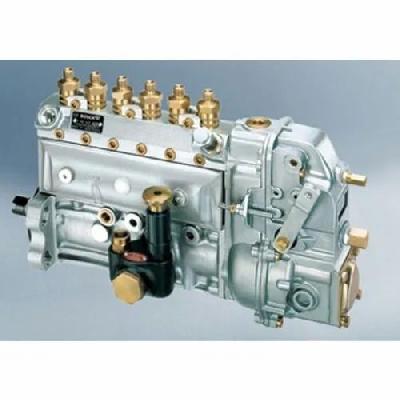 Multicylinder Pumps