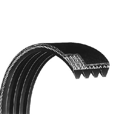 Ribbed V Belt