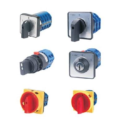 Rotary Cam Switches