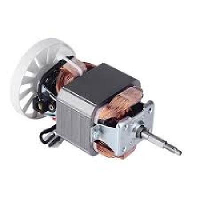 Appliance Motors