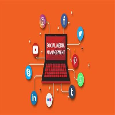 Social Media Management Service