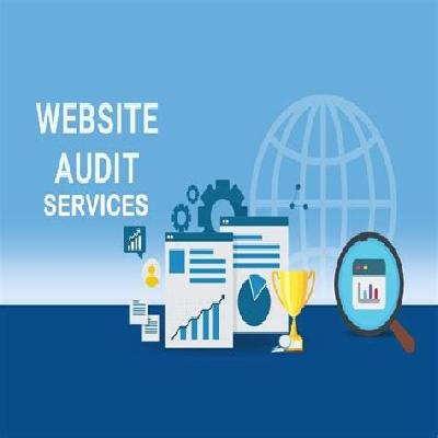 Website Audit Service