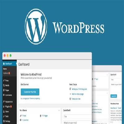 Wordpress Website Design Web Design Service