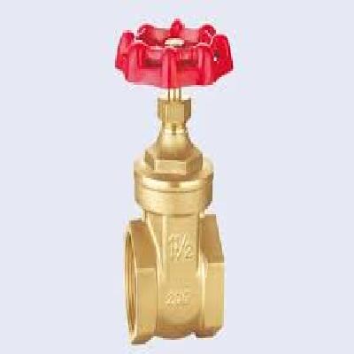 50mm Brass Gate Valve Testing Services