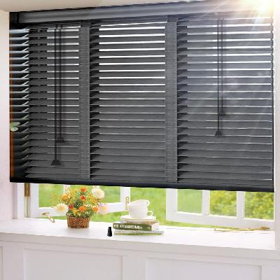 Window Blinds