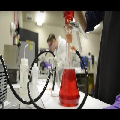Oil Testing Service