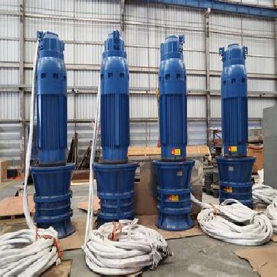 Submersible Motor