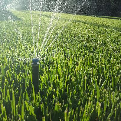 Irrigation 