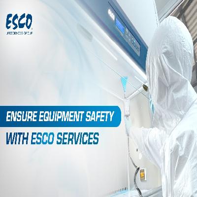 ESCO Services