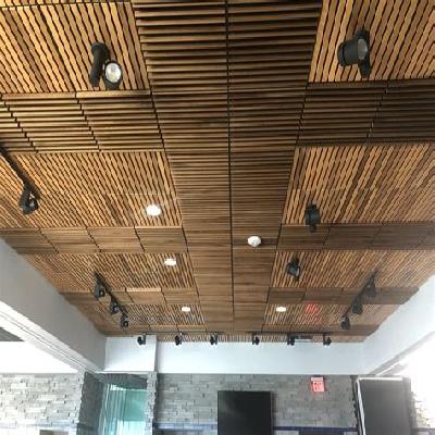 Acoustical Ceiling Services