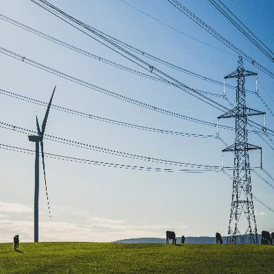 Rural Electrification Services