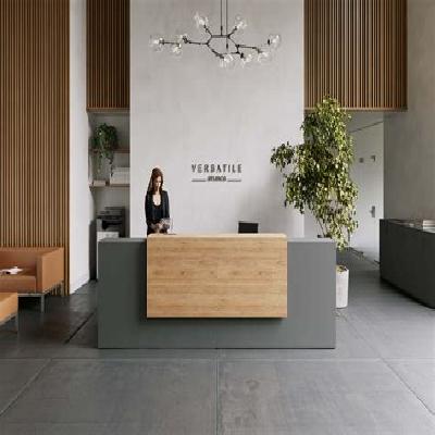 Office Reception Designing Service