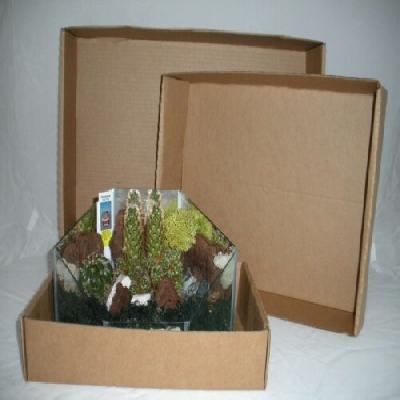 Brown plant Die Cut Corrugated Box