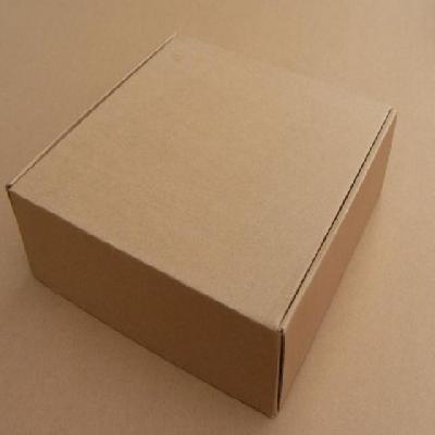 Corrugated Paper Plain Box