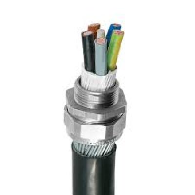 Cable Gland