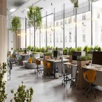 Working Staff Area