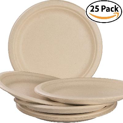 9inch Eco Friendly Disposable Plates