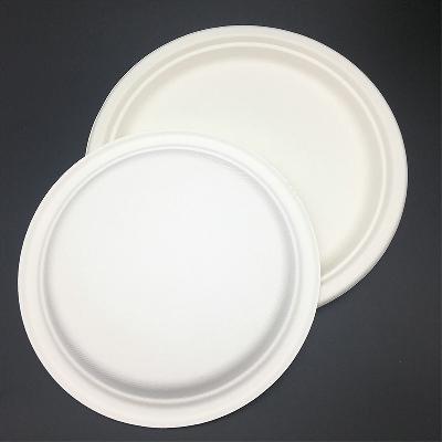 Bagasse Disposable Plate
