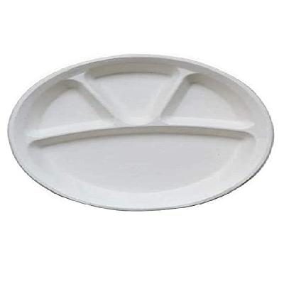 Biodegradable 12 Inch Sugarcane Bagassee Plate