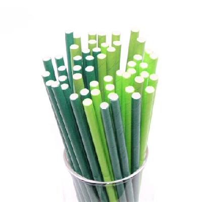 Biodegradable Paper Straw