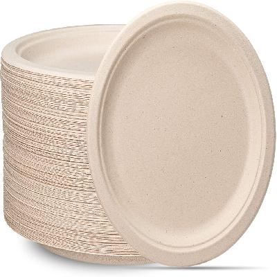 Eco Friendly Disposable Plates