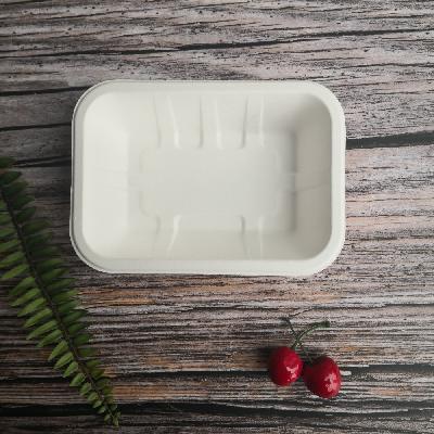 Light Brown Sugarcane Bagasse Meal Tray
