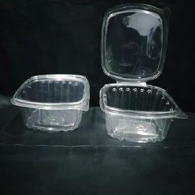 Pet Hing Container