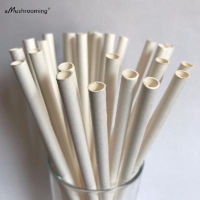Plain Paper Straw