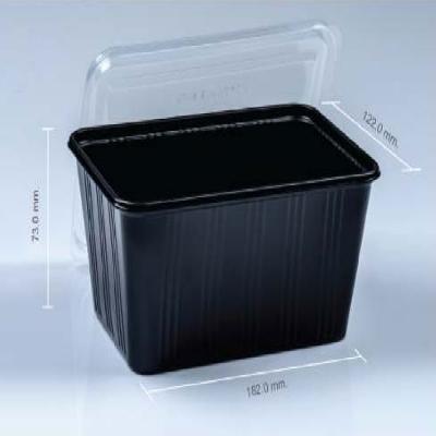 PP Rectangular Container