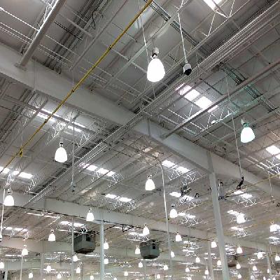 Light Fitting Service