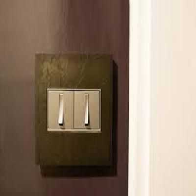 15A Fancy Electric Switch