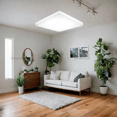 30W Ceiling Mounted LED Decorative Light