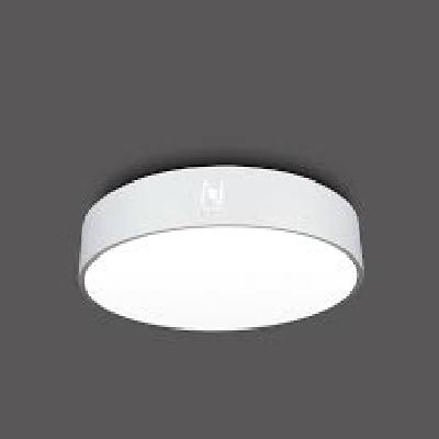 40W LED Surface Mounted Light