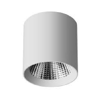 9W LED Surface Mounted Light