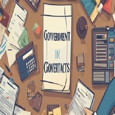 Government Contractor
