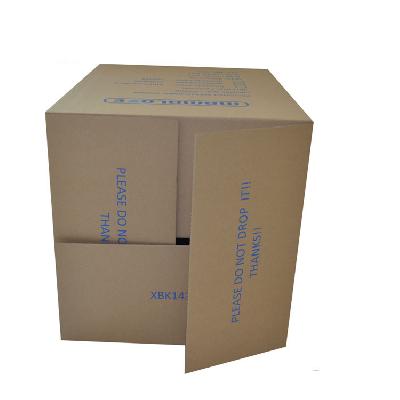 Double Wall 5 Ply Printed Carton Box