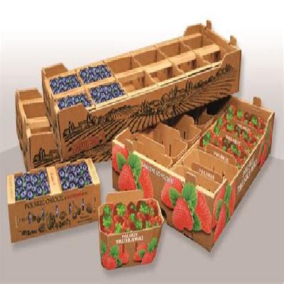 Fruit Corrugated Box